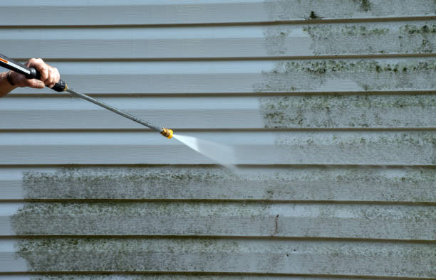 Best Driveway Pressure Washing  in Clendenin, WV